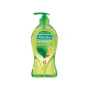 Palmolive Shower Gel Aroma Morning Tonic (750ml)